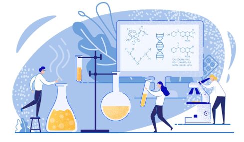 canales de vídeo para hacer experimentos