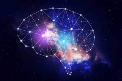 Qué Es La Neuroeducación