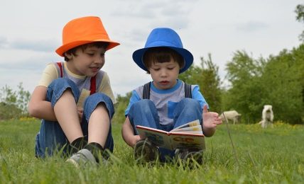 Cuadernos de verano