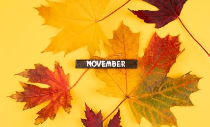 Fechas clave de noviembre