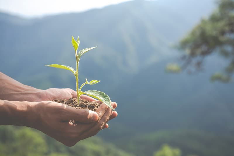 Cursos De Educación Ambiental